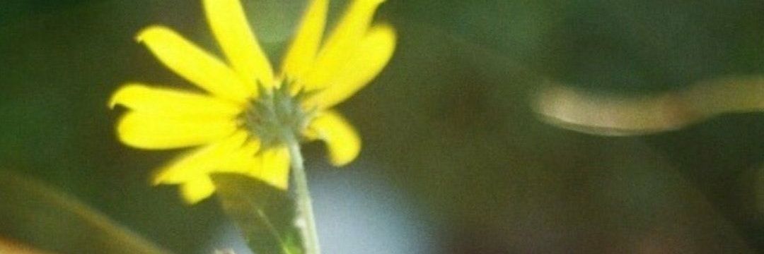 iamnimbe's profile banner image