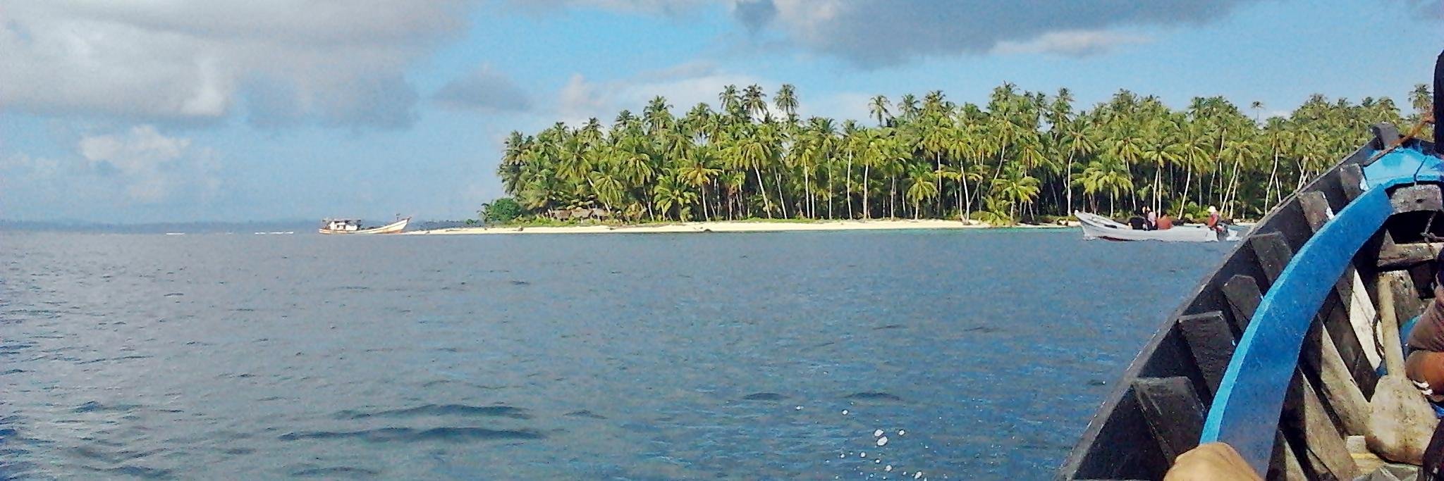 sovikhadifa's profile banner image