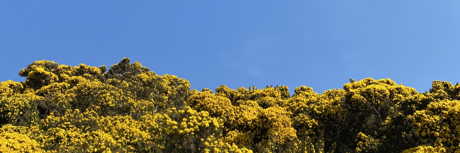 mlyhood's profile banner image