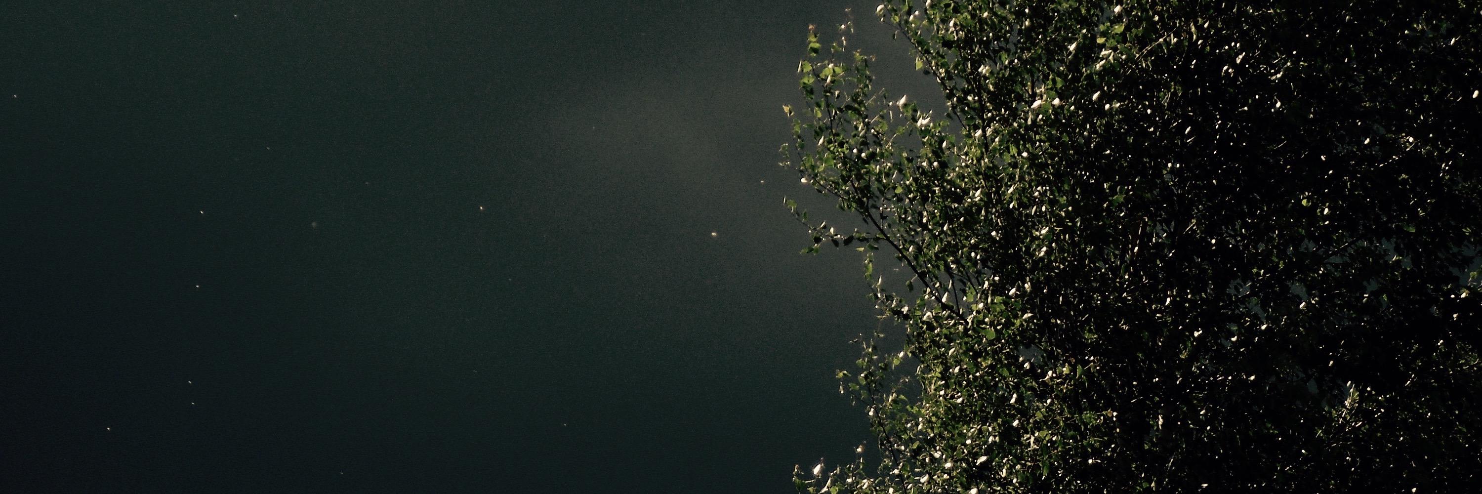 skvaasj's profile banner image