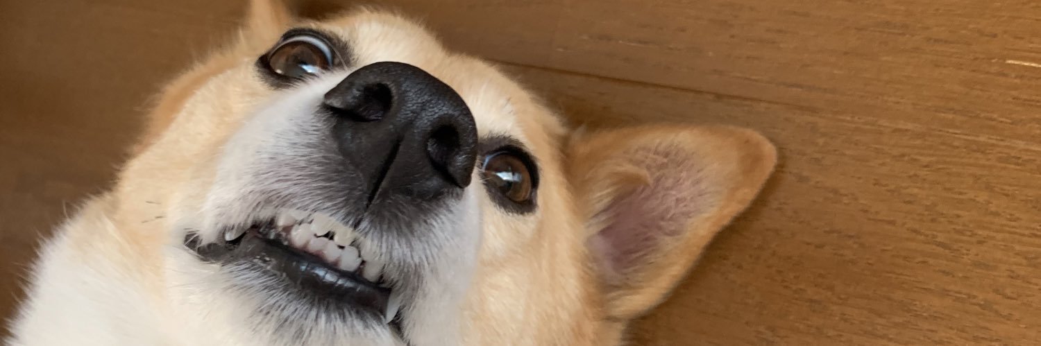 r_n___s's profile banner image