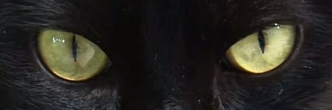 nsoh03's profile banner image