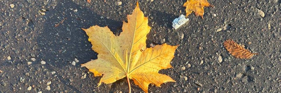 Abubaker512's profile banner image