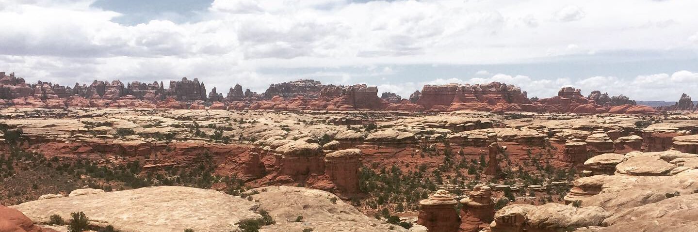 TaylorGee's profile banner image