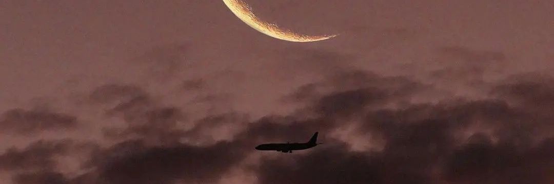 _arabellss's profile banner image