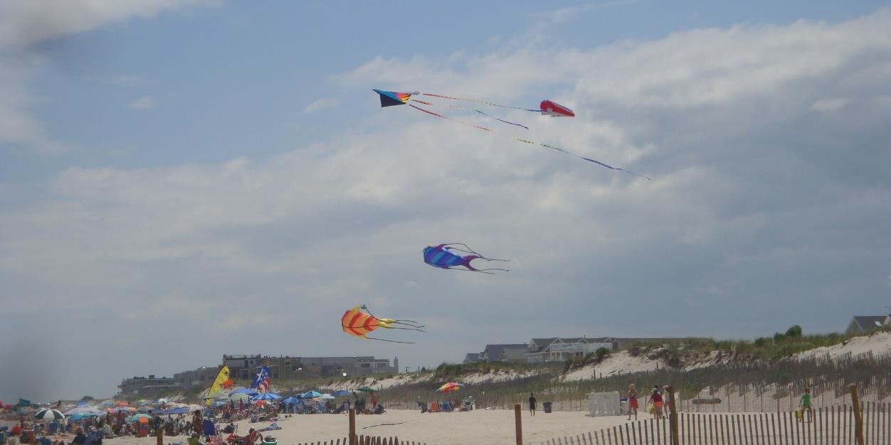 Tamara Wetzel banner