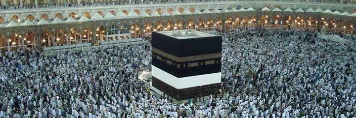 Helaelgohary's profile banner image