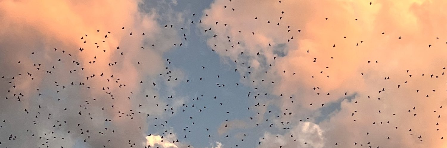 MKHNHT's profile banner image