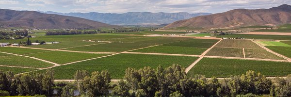 ArendsigWines Profile Banner