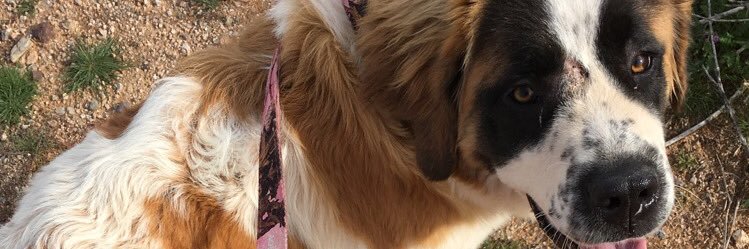 mccoyken's profile banner image