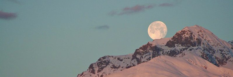 37's 🎶 banner