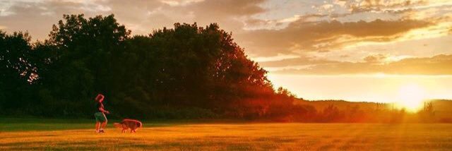 Gillian Monka banner