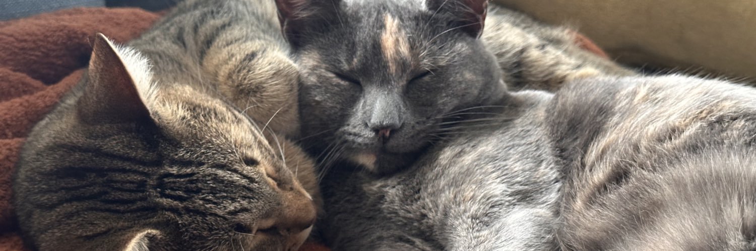 Minxy gets cozy ✨ banner