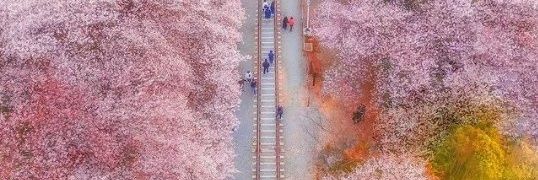 beatguy1004's profile banner image