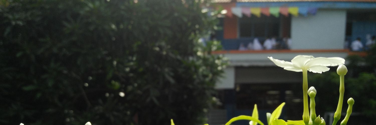 _alague's profile banner image