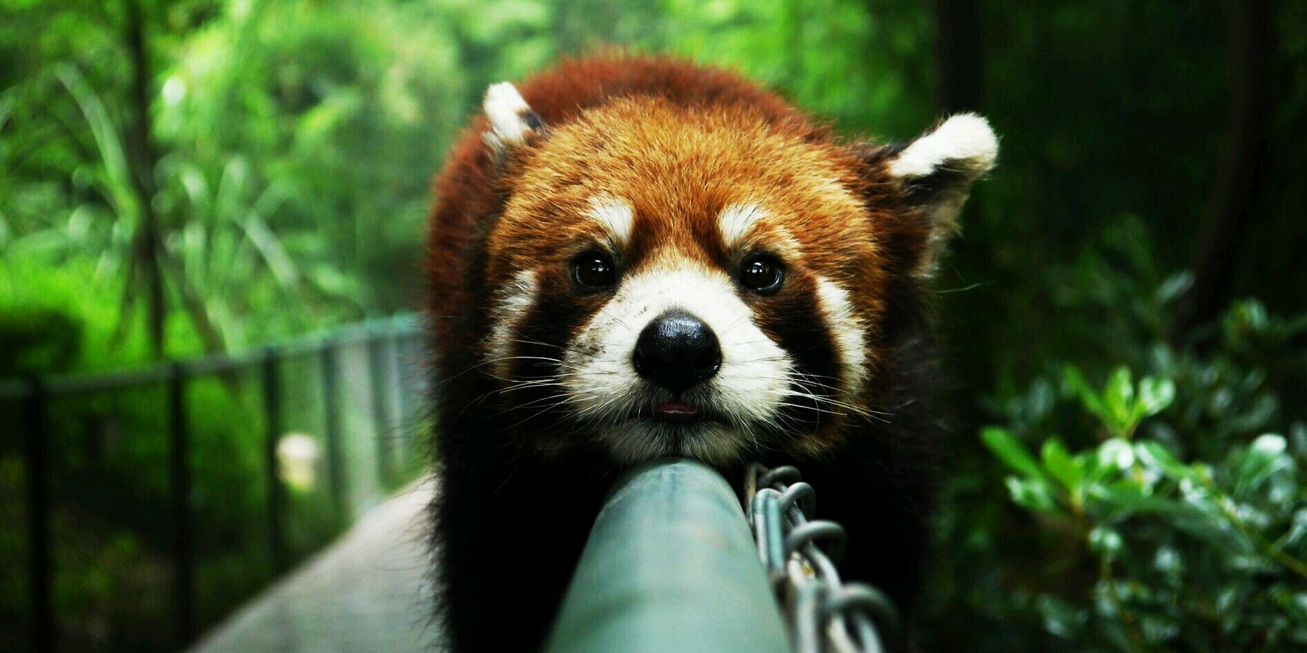 yannickpanda's profile banner image