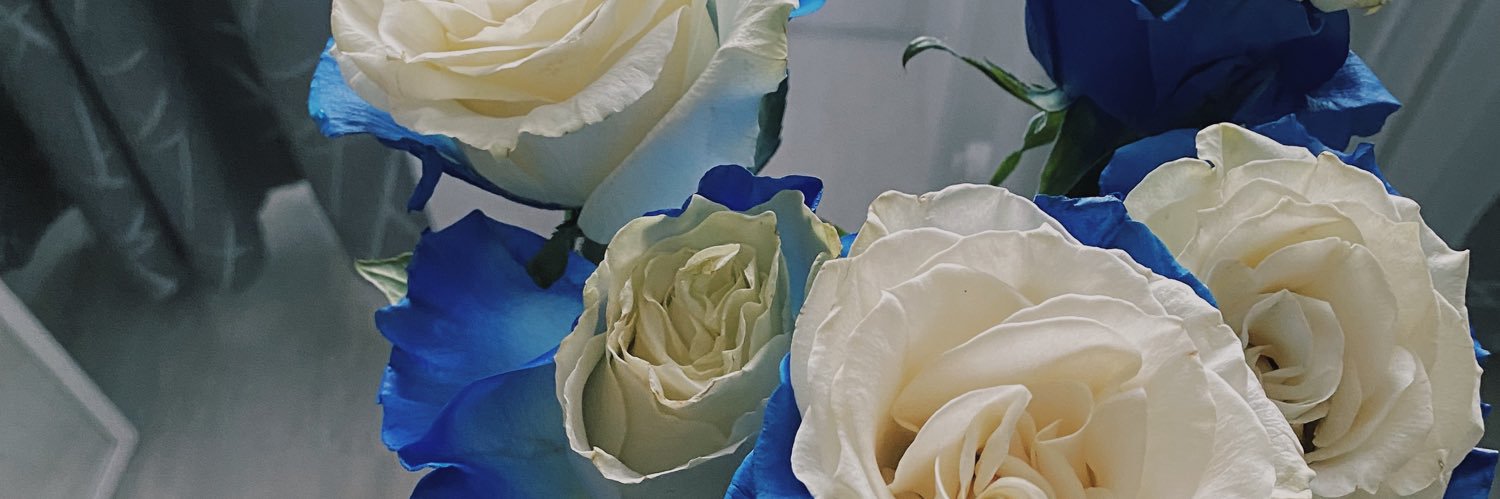 dassha_lis's profile banner image