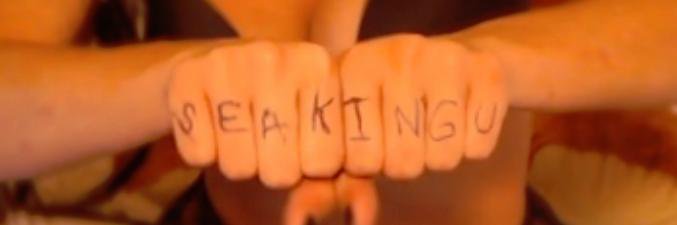 SeakinguF4F's profile banner image