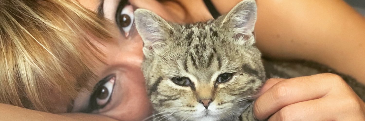 KiaCentazzo's profile banner image