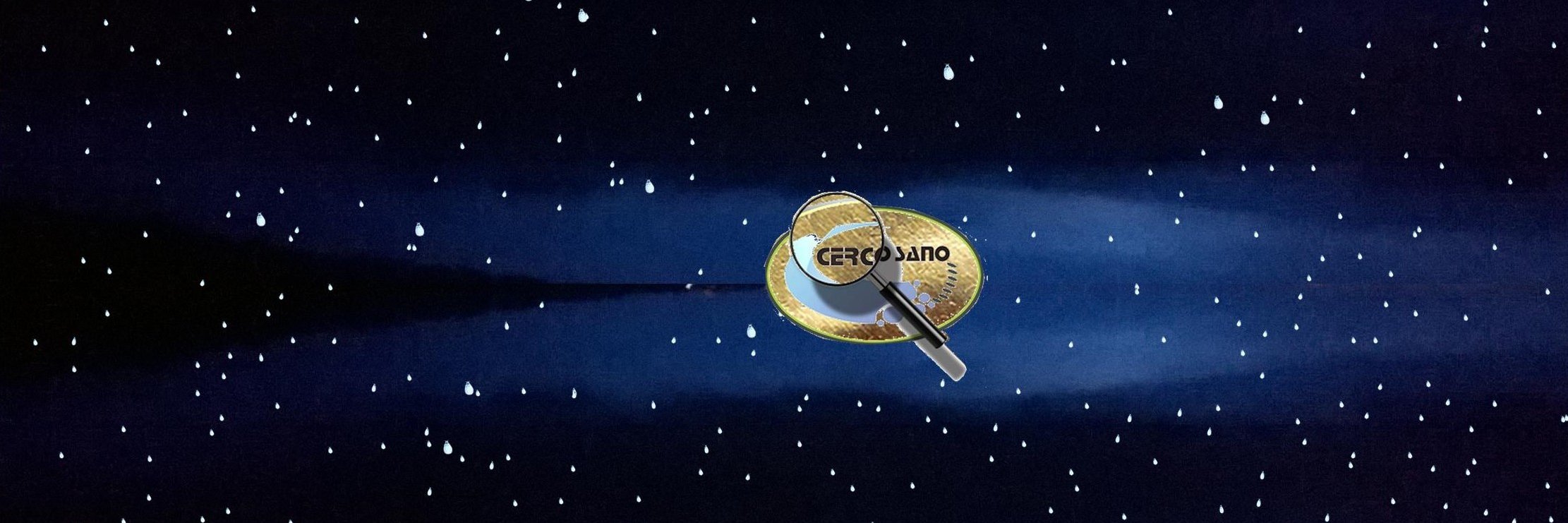 carminezannella's profile banner image