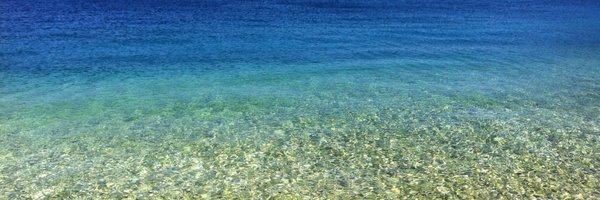 paws4thought09 Profile Banner