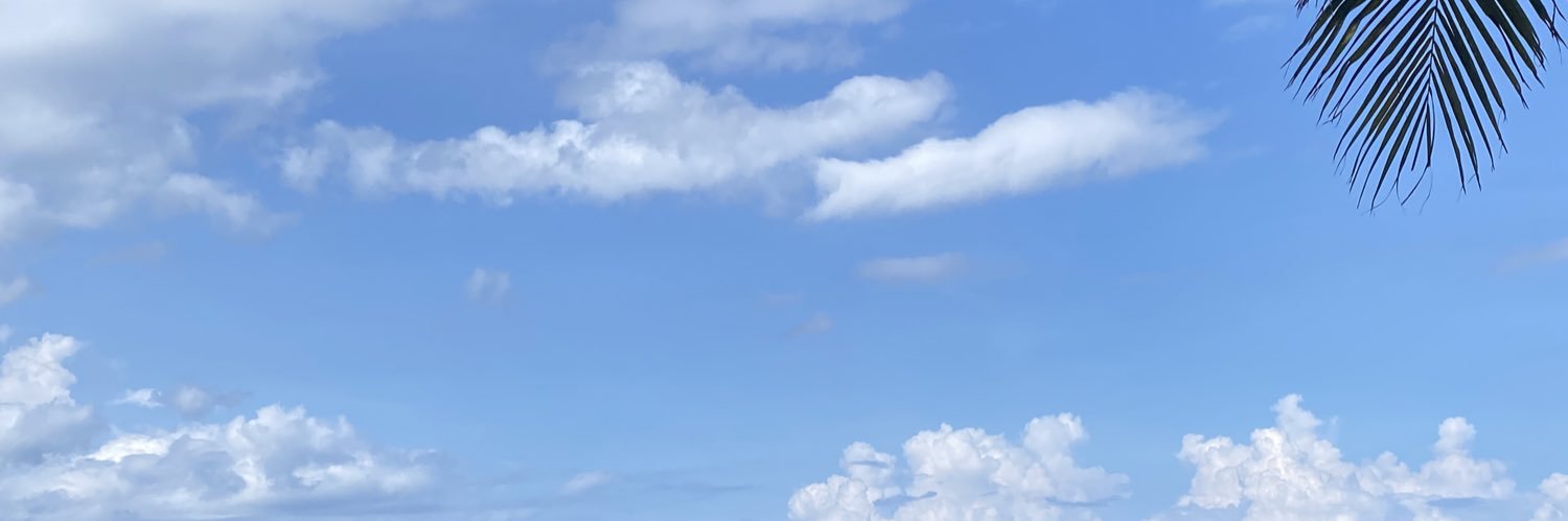 sammypuen's profile banner image