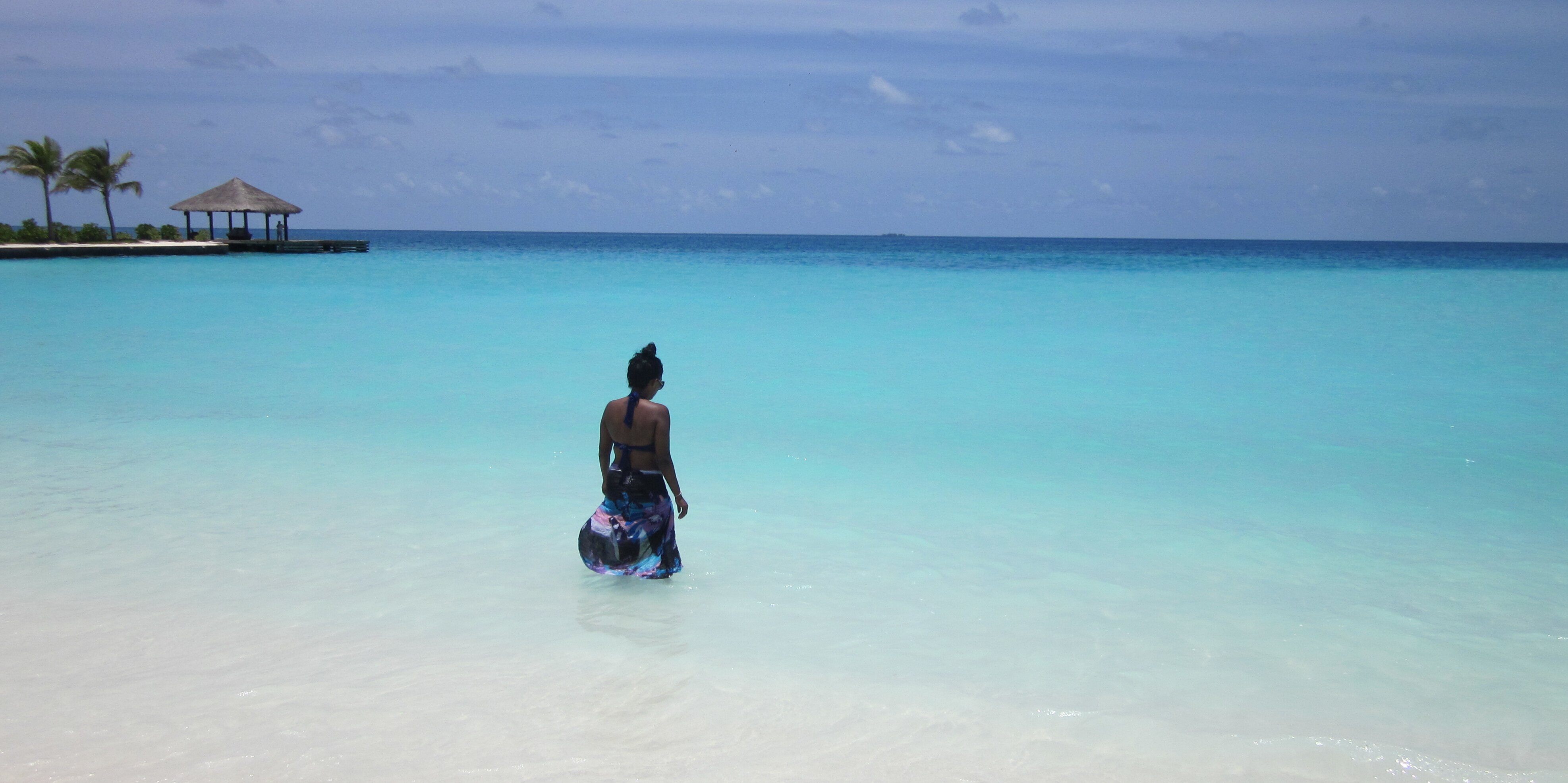 desh_natasha's profile banner image