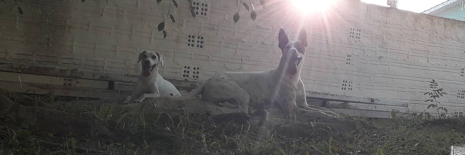 Parenthc's profile banner image