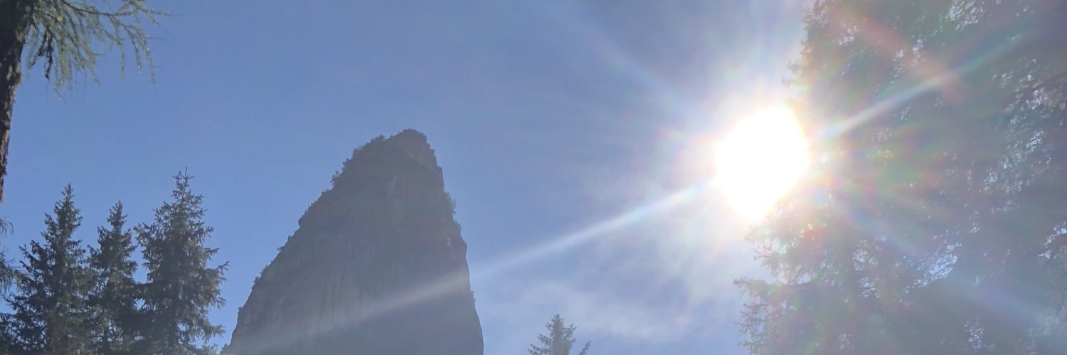 Megaroutex's profile banner image