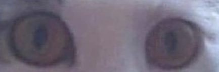 suxziee's profile banner image