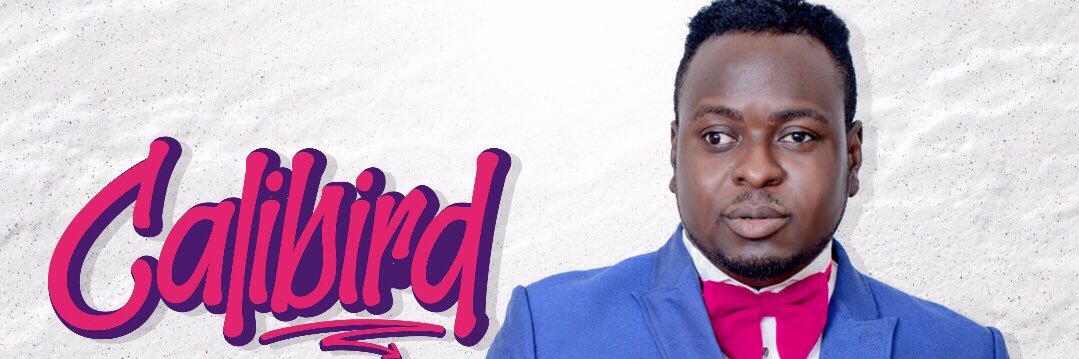 calibird1's profile banner image