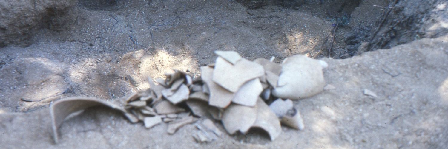 Joan Carles Alay banner