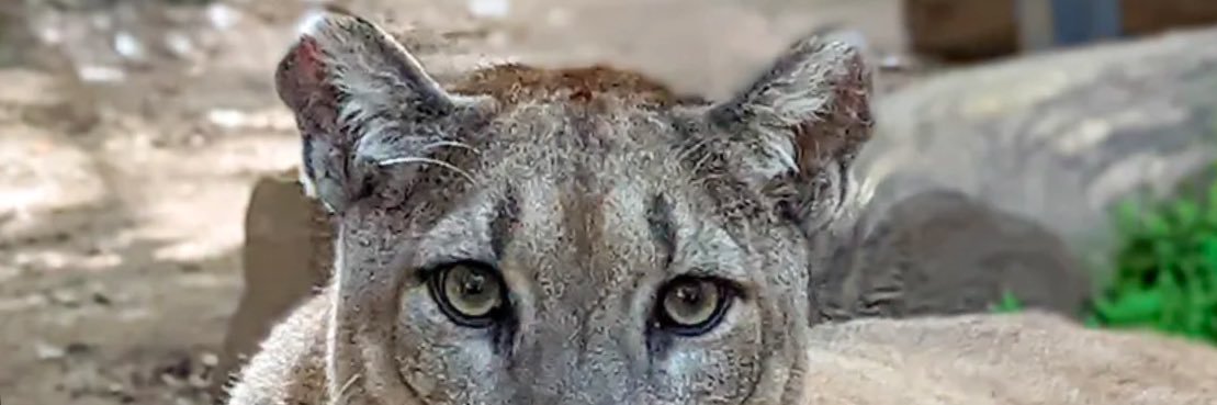 Trading_Newbies_Unite banner