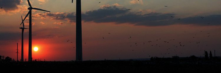 Gemoy Ucing Kiztes banner