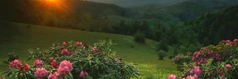 nwwrra's profile banner image