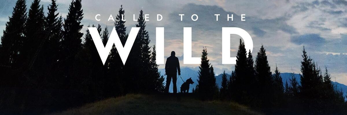 Mark Westcott banner