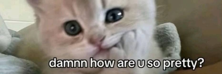 ashleysatsx's profile banner image