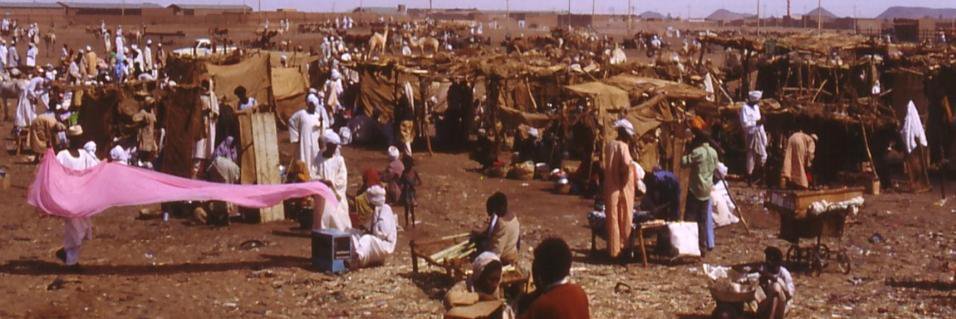 Brian Vickery banner