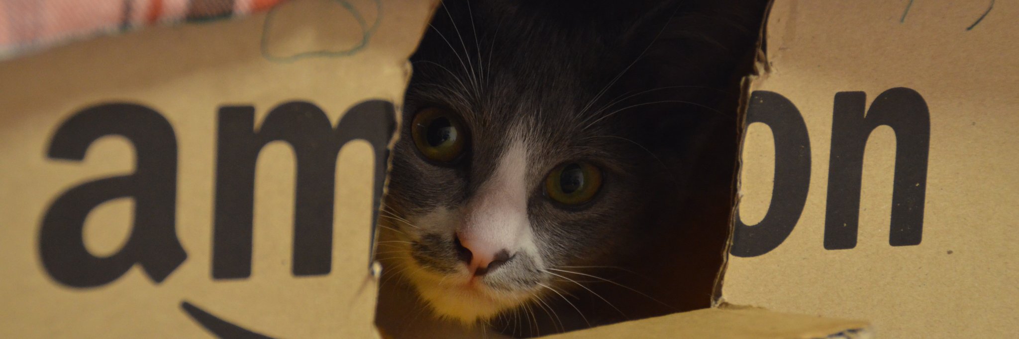 katina666's profile banner image