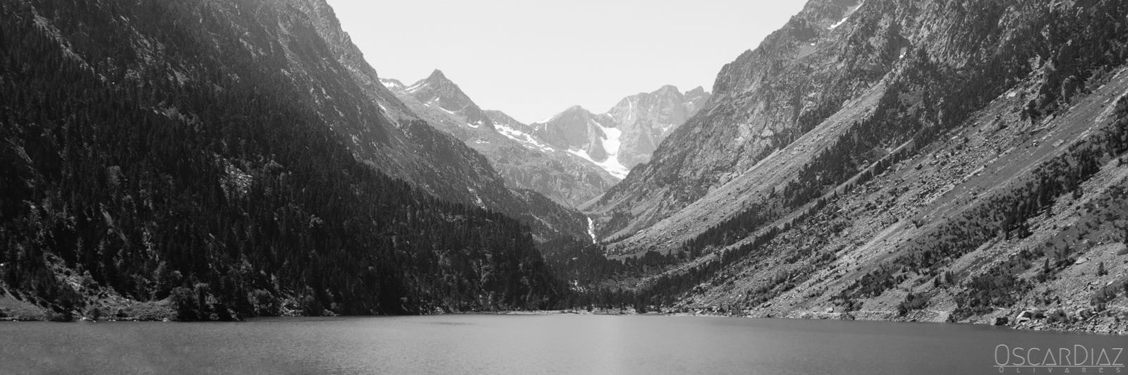 osdiol's profile banner image
