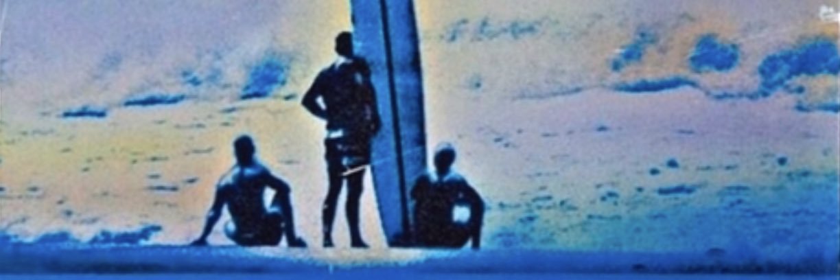 Hugo Scherman banner