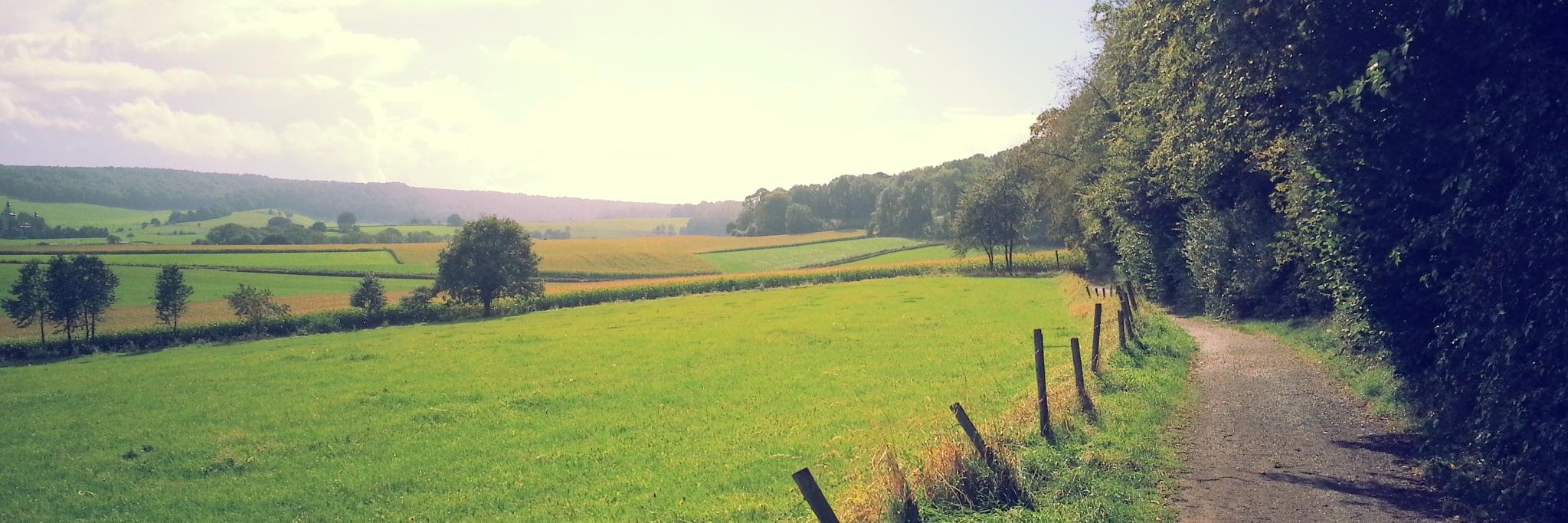 heuvelland's profile banner image