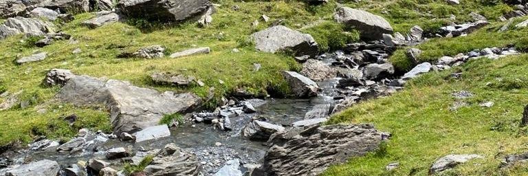 Natalia Carbonell banner