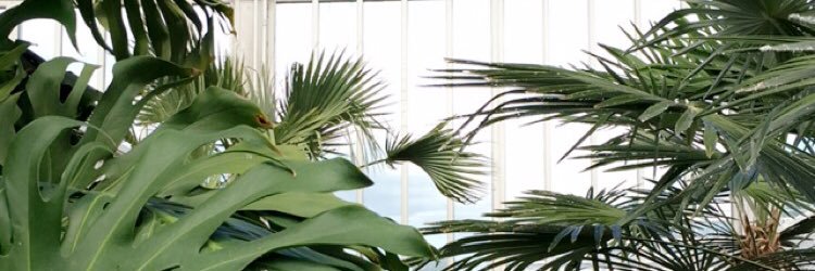 maxenpeterson's profile banner image