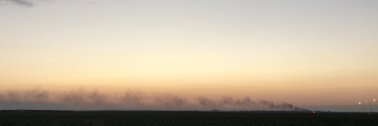Carolina_Colli's profile banner image