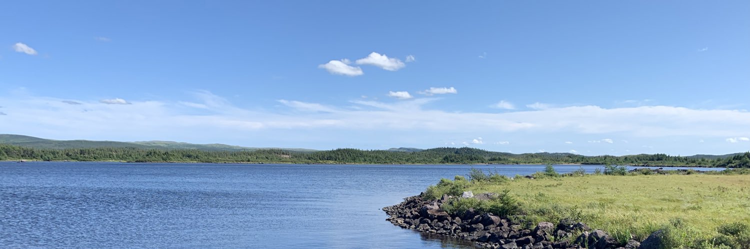 Karen Peddle (she/her) banner