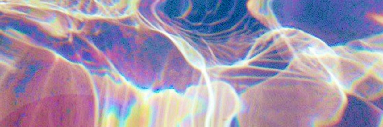 Lotus_Efuru's profile banner image