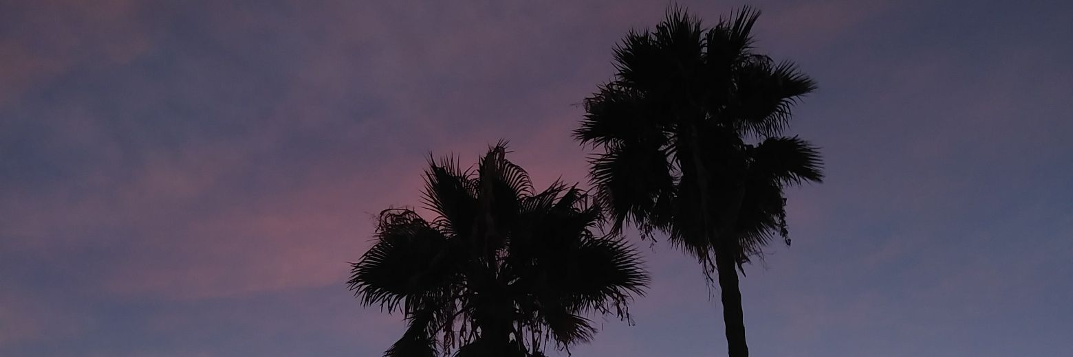 parthur20_'s profile banner image