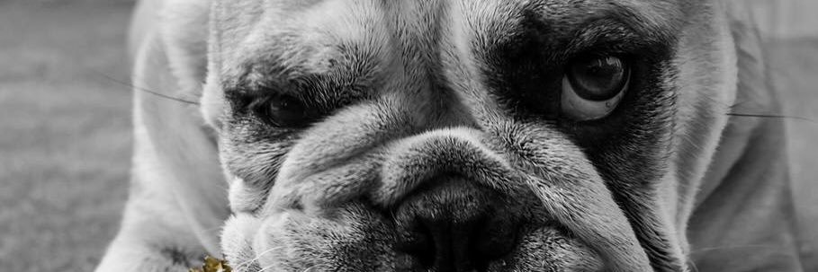 MariaLoscos21's profile banner image
