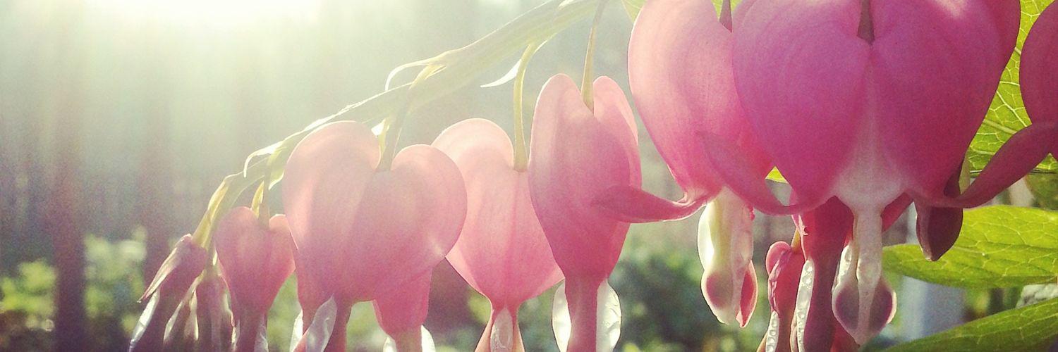 CrystalStarr78's profile banner image